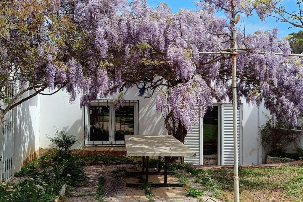 Summer Villa In Pórto Ráfti المظهر الخارجي الصورة